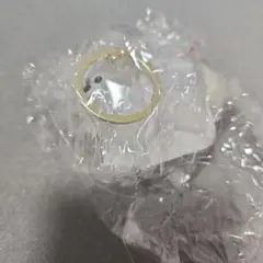 いつもわんちゃんと一緒！おでかけ毛入れキーホルダー
