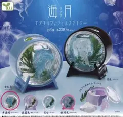 海月アクアリウム　ジェルスライミー　半透明　クラゲ　ガチャ　ミニチュア