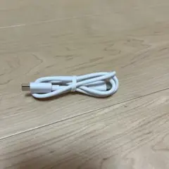 USB-C ホワイト60センチ