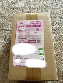 新品未開封 ポケモンカードゲーム スペシャルBOX ポケモンセンタートウホク