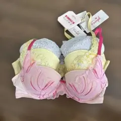 トリンプ　天使のブラ　C70 3枚セット
