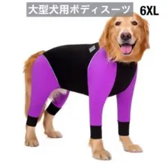 Item thumbnail for item e5eba4a0-c437-4fff-9c70-d5dad9196280