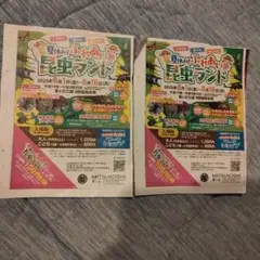夏休み！ふれあい昆虫ランド　2枚セット