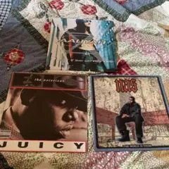 AALIYAH BIG NAS レコード