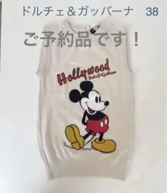 ドルチェu0026ガッバーナ 38 カシミヤ
