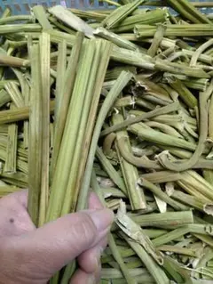 Item thumbnail for item dc76c05a-029f-4c23-b887-9469cecaadf0