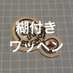 モンクレ　アイロン　ワッペン　糊付き　B
