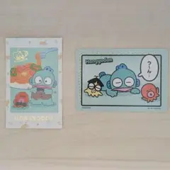 サンリオ　はんぎょどん　カード