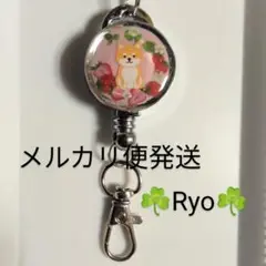 柴犬　犬　動物　リールキーホルダー　《イチゴ》