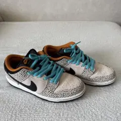 Nike SB Dunk Low Pro Electric