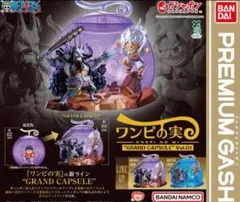 ワンピース　ワンピの実　ノーマルカラー　グランドカプセル