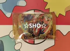 最新弾☆早い者勝ち♪コライドン（レガシー）☆ポケモンフレンダレガシー♪匿名
