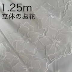 1.25ｍ 　白　花　チュールレース　刺繍③