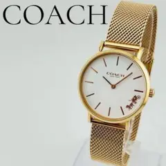 Item thumbnail for item 467f0106-29ec-4e31-bb59-17e503e56122