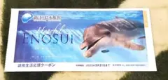 新江ノ島水族館 えのすい 割引券