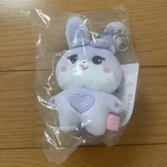 BLACKPINK DEADLINE ジス SOOYA ぬいぐるみ　キーリング BLACKPINK DEADLINE ジス SOOYA ぬいぐるみ キーリング - メルカリ