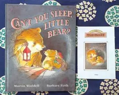 Can't You Sleep, Little Bear?