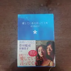 愛していると言ってくれ　北川悦吏子