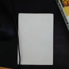 Item thumbnail for item 1cb5b5dd-d443-4711-8464-57e278a93b8c