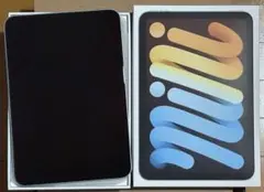 iPad mini （A17 pro）ブルー128gb WiFi Appleケア