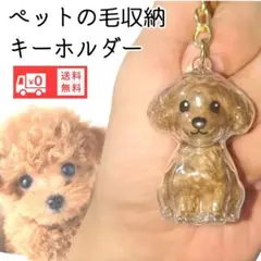 Item thumbnail for item b9305f6d-ec43-4fbd-af4b-d3ebd29a349e
