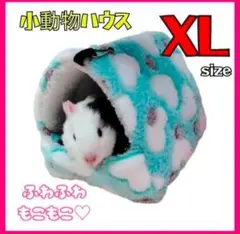 Item thumbnail for item 3511f216-1bf6-41b9-8155-68ab1d2b37f3