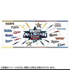 オールスターゲーム2025 12球団ロゴフェイスタオル