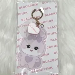 BLACKPINK ミニキーリング・キーホルダー BORNPINK BLACKPINK [Character mini Keyring] BORN PINK World Tour | eBay