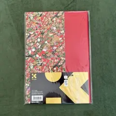 Item thumbnail for item e7692a3b-0ca1-49f1-ab8f-f65029d25164