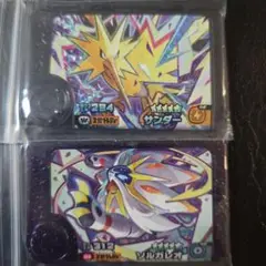 ポケモンフレンダベストタッグ サンダー ソルガレオ セット