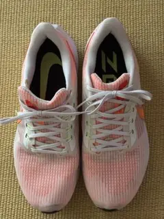NIKE AIR ZOOM PEGASUS 39 29.0cm