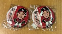 鷹祭　SUMMER BOOST 若鷹ガチャ　ホークス　缶バッジ　岩井　２個セット