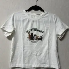 犬のプリント Tシャツ ホワイト
