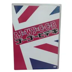 渡辺英樹 ゴーゴーヒデキグッズ C-C-B DVD-BOX ゴーゴーヒデキ 渡辺英樹 形見分け 特典付き
