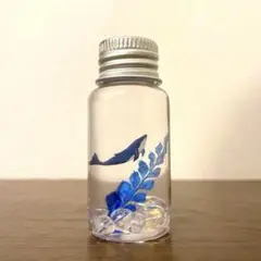 クジラ　ミニボトル