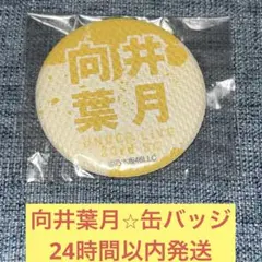 Item thumbnail for item eed95497-ff1a-4fd1-9982-1f8fe57b6246