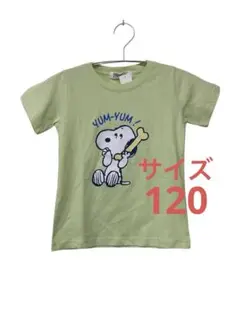 180 新品タグ付きPEANUTS Tシャツ ライトグリーンサイズ120