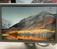 2025年最新】Apple Cinema Display 20-inchの人気アイテム