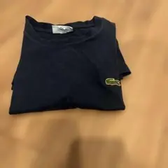 ラコステTシャツX Sサイズ