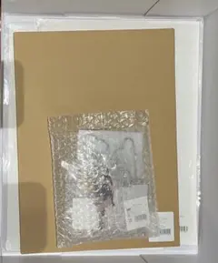 Item thumbnail for item 933a039f-535c-4537-97c2-f4d945a11d0f