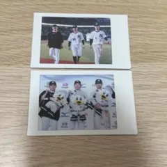 千葉ロッテ ヒーローインタビュー チェキ 2枚セット