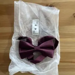 Item thumbnail for item 06b04ec2-8302-48ed-a5f8-f9e2e0b3ac8c