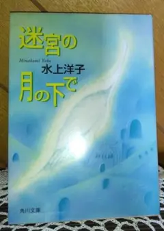 迷宮の月の下で