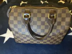 ⭐︎未使用品⭐︎Louis Vuitton スピーディ25 ダミエ パドロック・キー