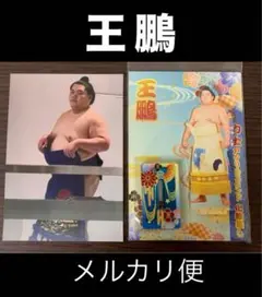大相撲 ★ 王鵬 ★ 国技館限定アクリルスタンド＜新品＞ ＆ おまけ生写真付き