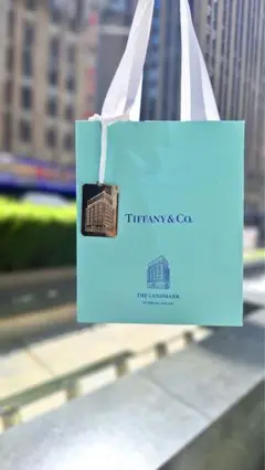 現行品　美品Tiffanyティファニー　ミニショッパー紙袋 60枚セット 2025年最新】Yahoo!オークション -ティファニー紙袋の中古品