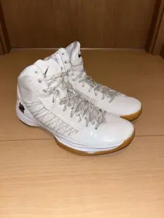NIKE バスケットシューズ NBAフットロッカー別注 ハイパーダンク