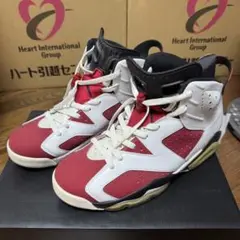 Air Jordan 6 カーマイン carmine
