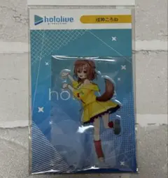 戌神ころね アクリルスタンド Hello hololive 渋谷TSUTAYA