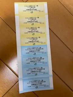 送料込!ガーラ湯沢スキー場リフト割引券4枚